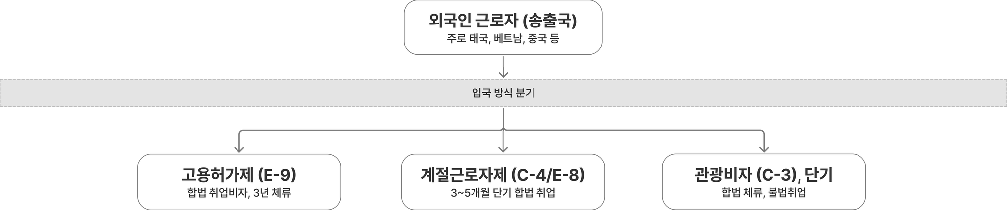 이주노동자 유입 경로 비자별 분기 도식