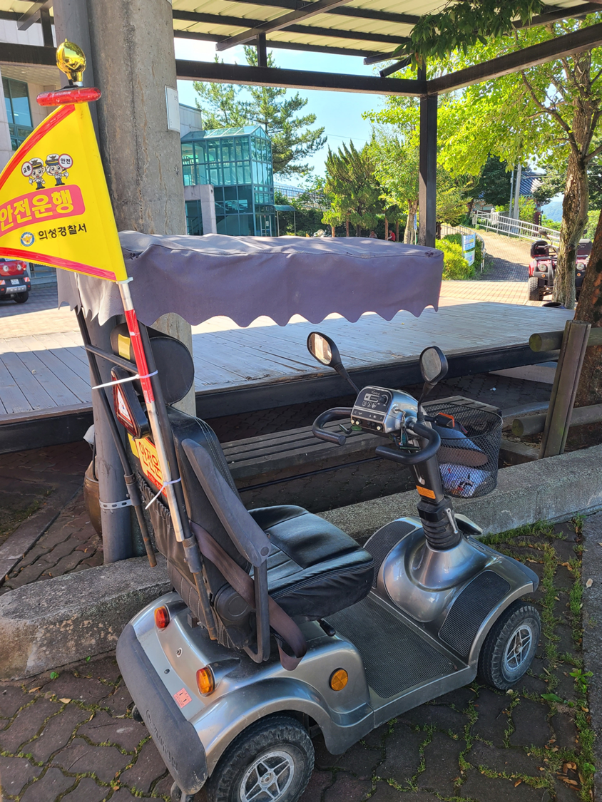 안전 깃발이 달린 전동스쿠터