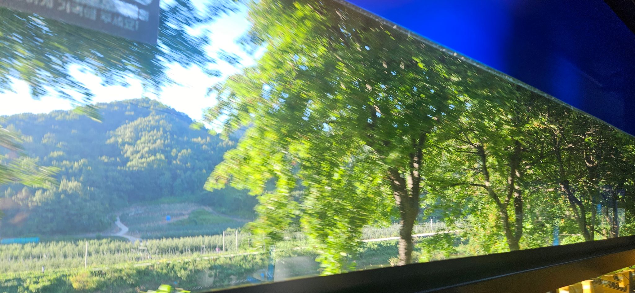 차창 밖의 녹색 풍경