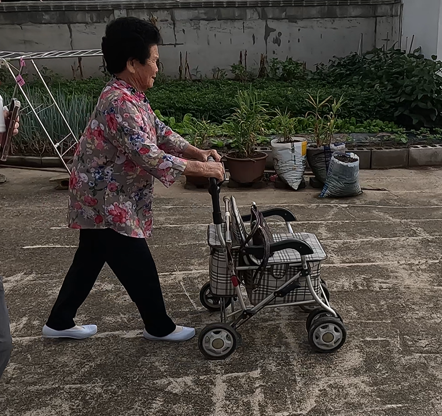 정류장에 세워둔 실버카들